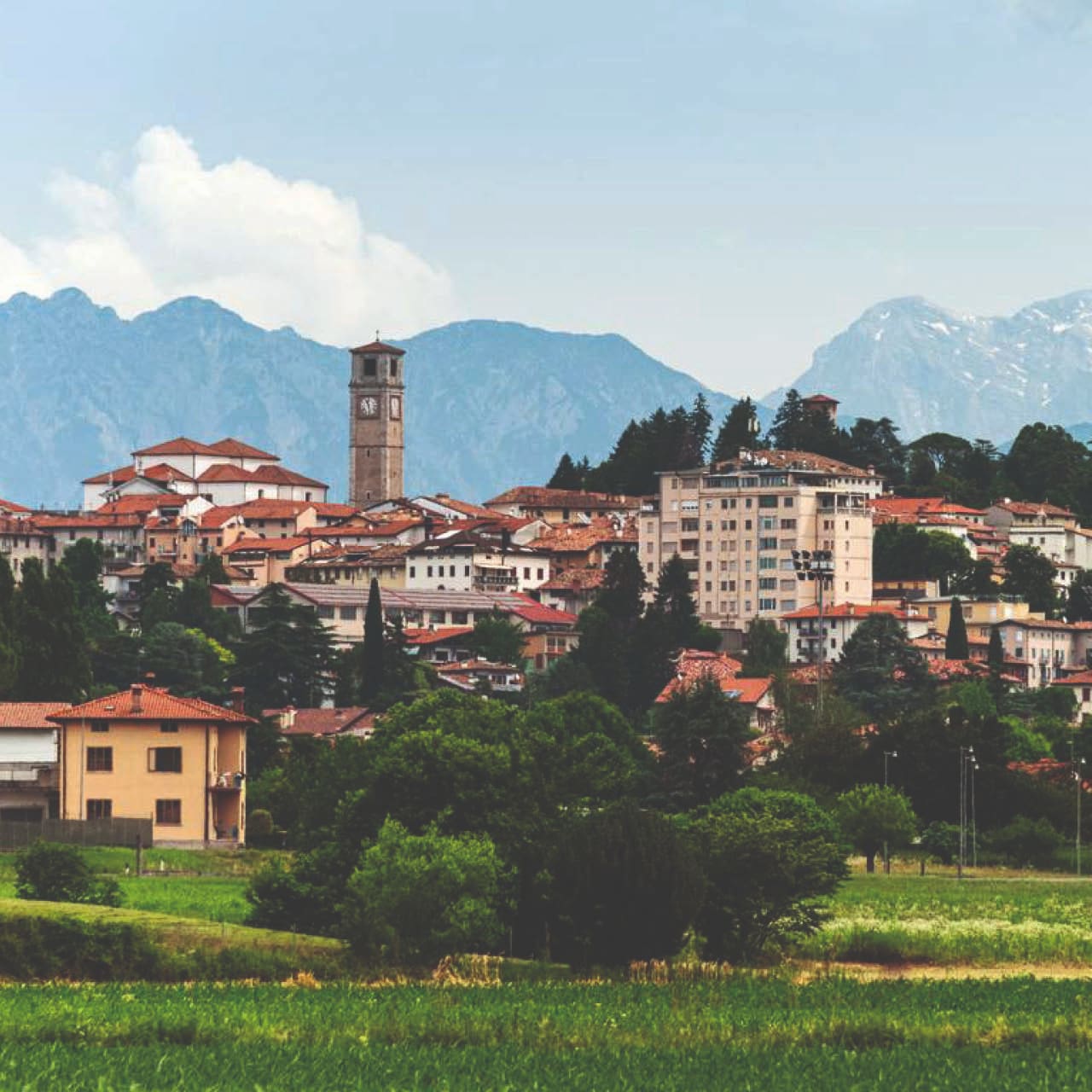 GOCER FRIULI