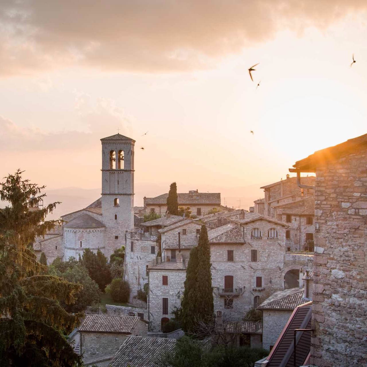 GOCER UMBRIA